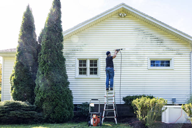 Best House Exterior Washing  in Grayling, MI