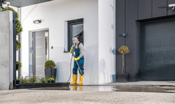 Best Patio and Deck Pressure Washing  in Grayling, MI